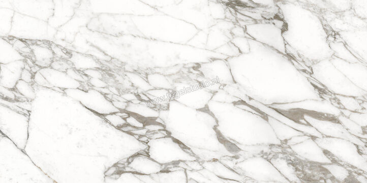  Ceramiche Caesar Anima Ever Luxury Arabesque 60x120 cm Vloertegel / Wandtegel Glanzend Vlak Lucidato AFBN CAE | 354955