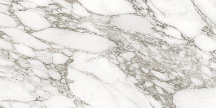  Ceramiche Caesar Anima Ever Luxury Arabesque 60x120 cm Vloertegel / Wandtegel Glanzend Vlak Lucidato AFBN CAE | 354958