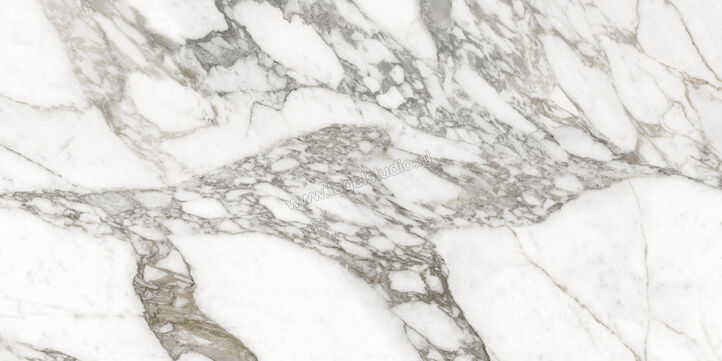  Ceramiche Caesar Anima Ever Luxury Arabesque 60x120 cm Vloertegel / Wandtegel Glanzend Vlak Lucidato AFBN CAE | 354961