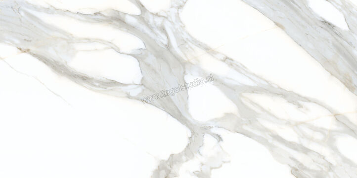  Ceramiche Caesar Anima Ever Apuan Gold 60x120 cm Vloertegel / Wandtegel Glanzend Vlak Lucidato AFBM CAE | 354967