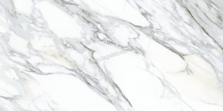  Ceramiche Caesar Anima Ever Apuan Gold 60x120 cm Vloertegel / Wandtegel Glanzend Vlak Lucidato AFBM CAE | 354979