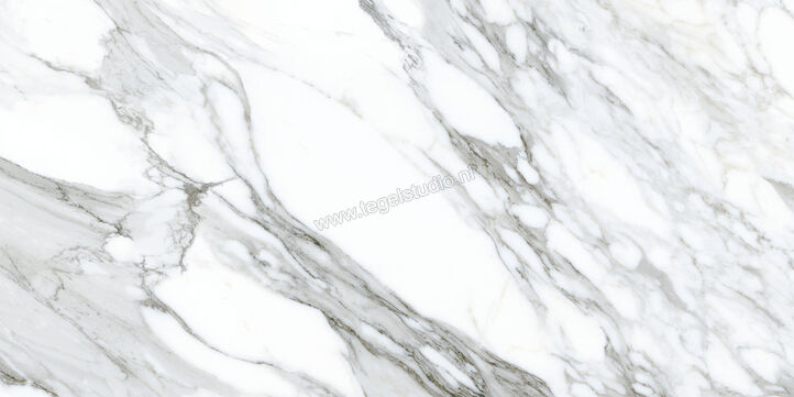  Ceramiche Caesar Anima Ever Apuan Gold 60x120 cm Vloertegel / Wandtegel Glanzend Vlak Lucidato AFBM CAE | 354985