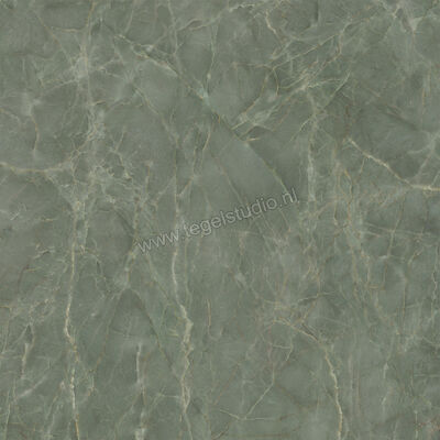  Ceramiche Caesar Anima Ever Sage Green 120x120 cm Vloertegel / Wandtegel Glanzend Vlak Lucidato AFBJ CAE | 354988