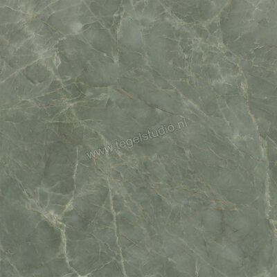  Ceramiche Caesar Anima Ever Sage Green 120x120 cm Vloertegel / Wandtegel Glanzend Vlak Lucidato AFBJ CAE | 354991
