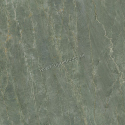  Ceramiche Caesar Anima Ever Sage Green 120x120 cm Vloertegel / Wandtegel Glanzend Vlak Lucidato AFBJ CAE | 354994