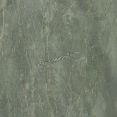  Ceramiche Caesar Anima Ever Sage Green 120x120 cm Vloertegel / Wandtegel Glanzend Vlak Lucidato AFBJ CAE | 354997