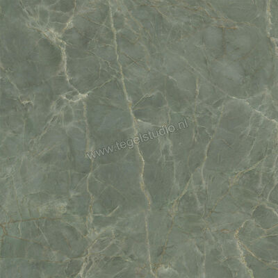  Ceramiche Caesar Anima Ever Sage Green 120x120 cm Vloertegel / Wandtegel Glanzend Vlak Lucidato AFBJ CAE | 355000