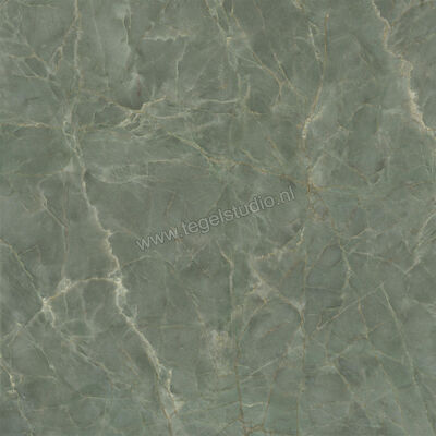  Ceramiche Caesar Anima Ever Sage Green 120x120 cm Vloertegel / Wandtegel Glanzend Vlak Lucidato AFBJ CAE | 355006