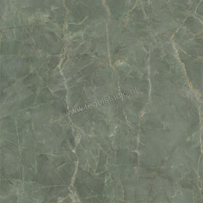  Ceramiche Caesar Anima Ever Sage Green 120x120 cm Vloertegel / Wandtegel Glanzend Vlak Lucidato AFBJ CAE | 355009