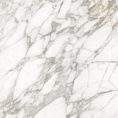  Ceramiche Caesar Anima Ever Luxury Arabesque 120x120 cm Vloertegel / Wandtegel Glanzend Vlak Lucidato AFBH CAE | 355036