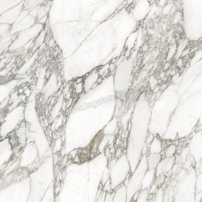  Ceramiche Caesar Anima Ever Luxury Arabesque 120x120 cm Vloertegel / Wandtegel Glanzend Vlak Lucidato AFBH CAE | 355039