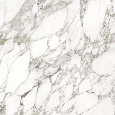  Ceramiche Caesar Anima Ever Luxury Arabesque 120x120 cm Vloertegel / Wandtegel Glanzend Vlak Lucidato AFBH CAE | 355045