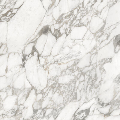  Ceramiche Caesar Anima Ever Luxury Arabesque 120x120 cm Vloertegel / Wandtegel Glanzend Vlak Lucidato AFBH CAE | 355048