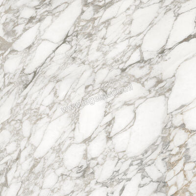  Ceramiche Caesar Anima Ever Luxury Arabesque 120x120 cm Vloertegel / Wandtegel Glanzend Vlak Lucidato AFBH CAE | 355054