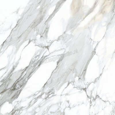  Ceramiche Caesar Anima Ever Apuan Gold 120x120 cm Vloertegel / Wandtegel Glanzend Vlak Lucidato AFBG CAE | 355078