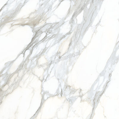  Ceramiche Caesar Anima Ever Apuan Gold 120x120 cm Vloertegel / Wandtegel Glanzend Vlak Lucidato AFBG CAE | 355081