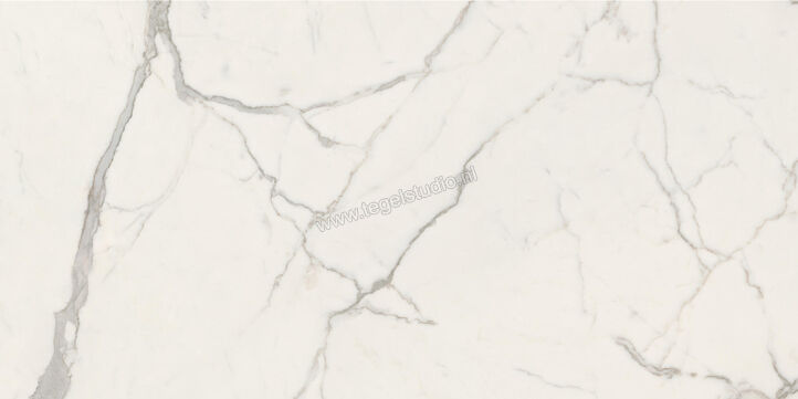  Ceramiche Caesar Anima Futura Majestic White 60x120 cm Vloertegel / Wandtegel Glanzend Vlak Lucidato AGB5 CAE | 355732