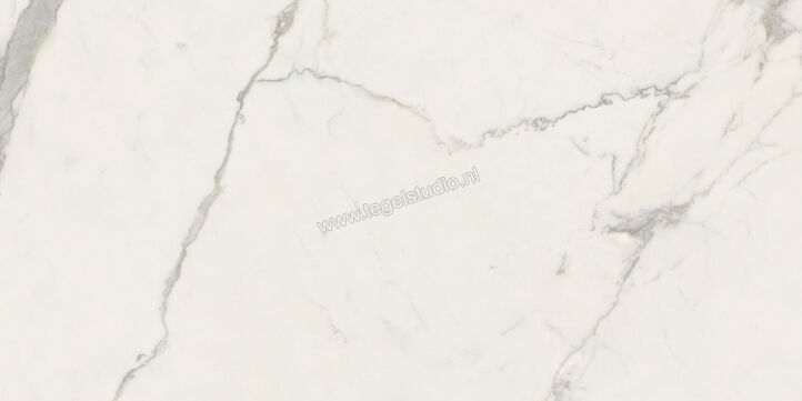  Ceramiche Caesar Anima Futura Majestic White 60x120 cm Vloertegel / Wandtegel Glanzend Vlak Lucidato AGB5 CAE | 355735