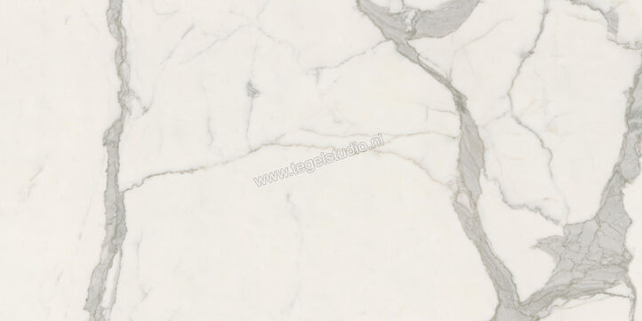  Ceramiche Caesar Anima Futura Majestic White 60x120 cm Vloertegel / Wandtegel Glanzend Vlak Lucidato AGB5 CAE | 355741