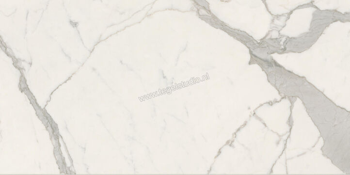  Ceramiche Caesar Anima Futura Majestic White 60x120 cm Vloertegel / Wandtegel Glanzend Vlak Lucidato AGB5 CAE | 355747