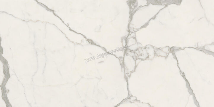  Ceramiche Caesar Anima Futura Majestic White 60x120 cm Vloertegel / Wandtegel Glanzend Vlak Lucidato AGB5 CAE | 355750