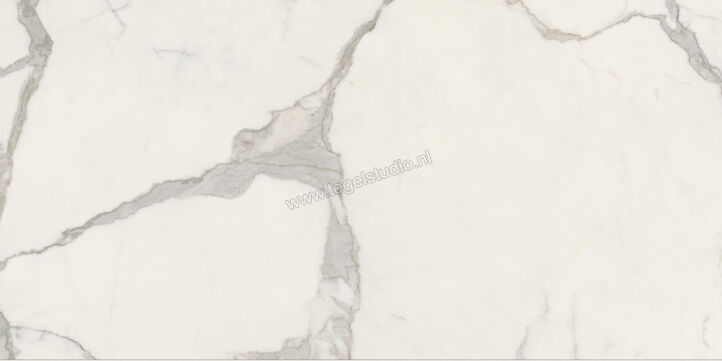  Ceramiche Caesar Anima Futura Majestic White 60x120 cm Vloertegel / Wandtegel Glanzend Vlak Lucidato AGB5 CAE | 355753