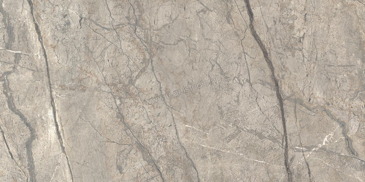  Ceramiche Caesar Anima Futura Amazing Silver 60x120 cm Vloertegel / Wandtegel Glanzend Vlak Lucidato AGB6 CAE | 355756