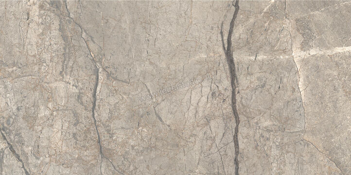  Ceramiche Caesar Anima Futura Amazing Silver 60x120 cm Vloertegel / Wandtegel Glanzend Vlak Lucidato AGB6 CAE | 355759