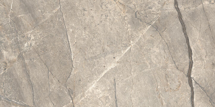  Ceramiche Caesar Anima Futura Amazing Silver 60x120 cm Vloertegel / Wandtegel Glanzend Vlak Lucidato AGB6 CAE | 355762