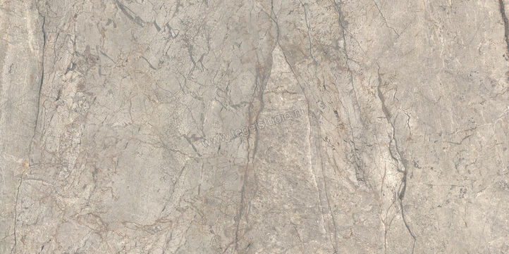  Ceramiche Caesar Anima Futura Amazing Silver 60x120 cm Vloertegel / Wandtegel Glanzend Vlak Lucidato AGB6 CAE | 355768