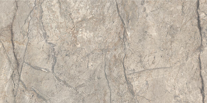  Ceramiche Caesar Anima Futura Amazing Silver 60x120 cm Vloertegel / Wandtegel Glanzend Vlak Lucidato AGB6 CAE | 355771