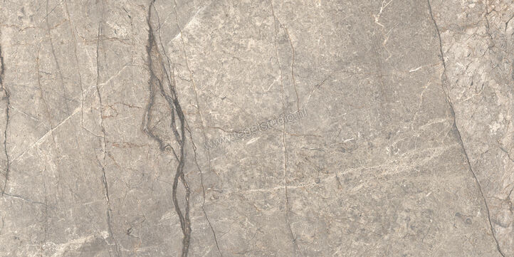  Ceramiche Caesar Anima Futura Amazing Silver 60x120 cm Vloertegel / Wandtegel Glanzend Vlak Lucidato AGB6 CAE | 355774