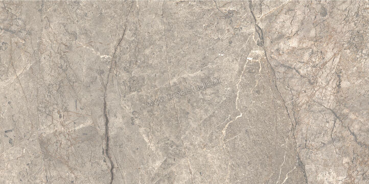  Ceramiche Caesar Anima Futura Amazing Silver 60x120 cm Vloertegel / Wandtegel Glanzend Vlak Lucidato AGB6 CAE | 355777