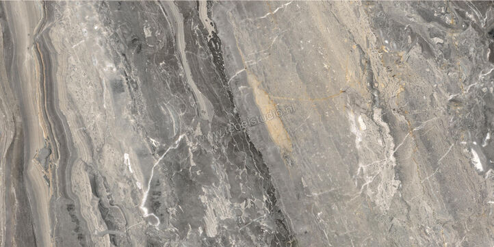  Ceramiche Caesar Anima Futura Keen Grey 60x120 cm Vloertegel / Wandtegel Glanzend Vlak Lucidato AGB8 CAE | 355804