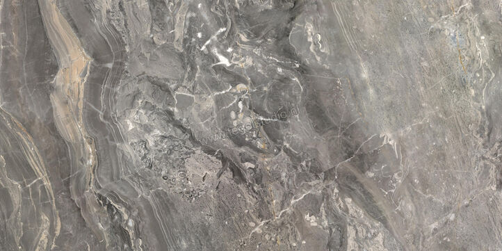  Ceramiche Caesar Anima Futura Keen Grey 60x120 cm Vloertegel / Wandtegel Glanzend Vlak Lucidato AGB8 CAE | 355807