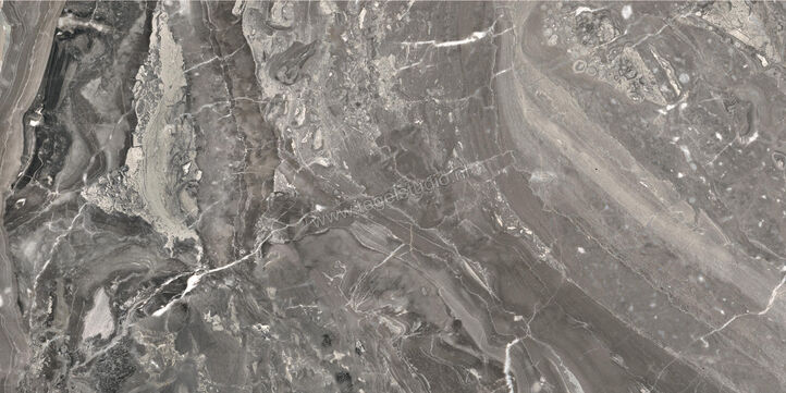  Ceramiche Caesar Anima Futura Keen Grey 60x120 cm Vloertegel / Wandtegel Glanzend Vlak Lucidato AGB8 CAE | 355816