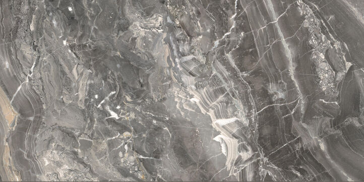  Ceramiche Caesar Anima Futura Keen Grey 60x120 cm Vloertegel / Wandtegel Glanzend Vlak Lucidato AGB8 CAE | 355819