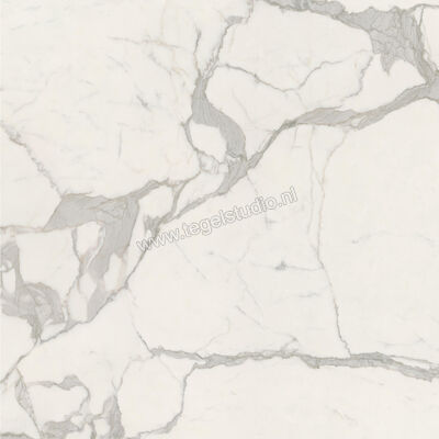  Ceramiche Caesar Anima Futura Majestic White 120x120 cm Vloertegel / Wandtegel Glanzend Vlak Lucidato AGCD CAE | 355903