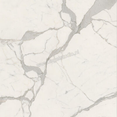  Ceramiche Caesar Anima Futura Majestic White 120x120 cm Vloertegel / Wandtegel Glanzend Vlak Lucidato AGCD CAE | 355906
