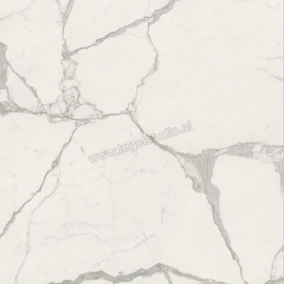  Ceramiche Caesar Anima Futura Majestic White 120x120 cm Vloertegel / Wandtegel Glanzend Vlak Lucidato AGCD CAE | 355909