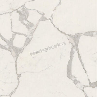  Ceramiche Caesar Anima Futura Majestic White 120x120 cm Vloertegel / Wandtegel Glanzend Vlak Lucidato AGCD CAE | 355912