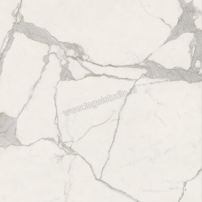  Ceramiche Caesar Anima Futura Majestic White 120x120 cm Vloertegel / Wandtegel Glanzend Vlak Lucidato AGCD CAE | 355915