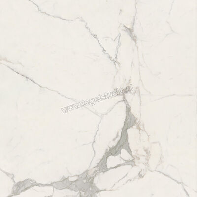  Ceramiche Caesar Anima Futura Majestic White 120x120 cm Vloertegel / Wandtegel Glanzend Vlak Lucidato AGCD CAE | 355918
