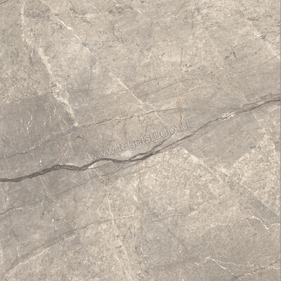  Ceramiche Caesar Anima Futura Amazing Silver 120x120 cm Vloertegel / Wandtegel Glanzend Vlak Lucidato AGCE CAE | 355924