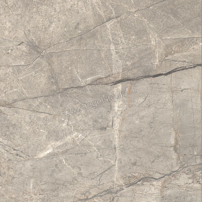  Ceramiche Caesar Anima Futura Amazing Silver 120x120 cm Vloertegel / Wandtegel Glanzend Vlak Lucidato AGCE CAE | 355927