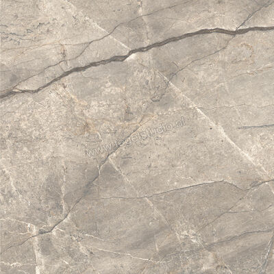  Ceramiche Caesar Anima Futura Amazing Silver 120x120 cm Vloertegel / Wandtegel Glanzend Vlak Lucidato AGCE CAE | 355930
