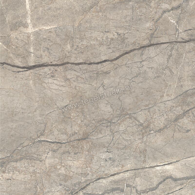  Ceramiche Caesar Anima Futura Amazing Silver 120x120 cm Vloertegel / Wandtegel Glanzend Vlak Lucidato AGCE CAE | 355933