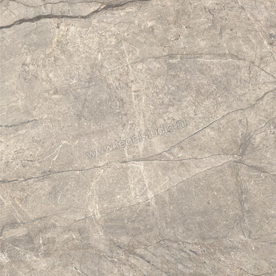  Ceramiche Caesar Anima Futura Amazing Silver 120x120 cm Vloertegel / Wandtegel Glanzend Vlak Lucidato AGCE CAE | 355936