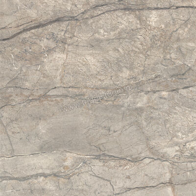  Ceramiche Caesar Anima Futura Amazing Silver 120x120 cm Vloertegel / Wandtegel Glanzend Vlak Lucidato AGCE CAE | 355939