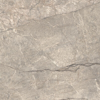  Ceramiche Caesar Anima Futura Amazing Silver 120x120 cm Vloertegel / Wandtegel Glanzend Vlak Lucidato AGCE CAE | 355942